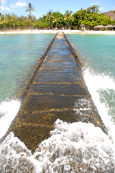 Wave Breaker - Hawaii